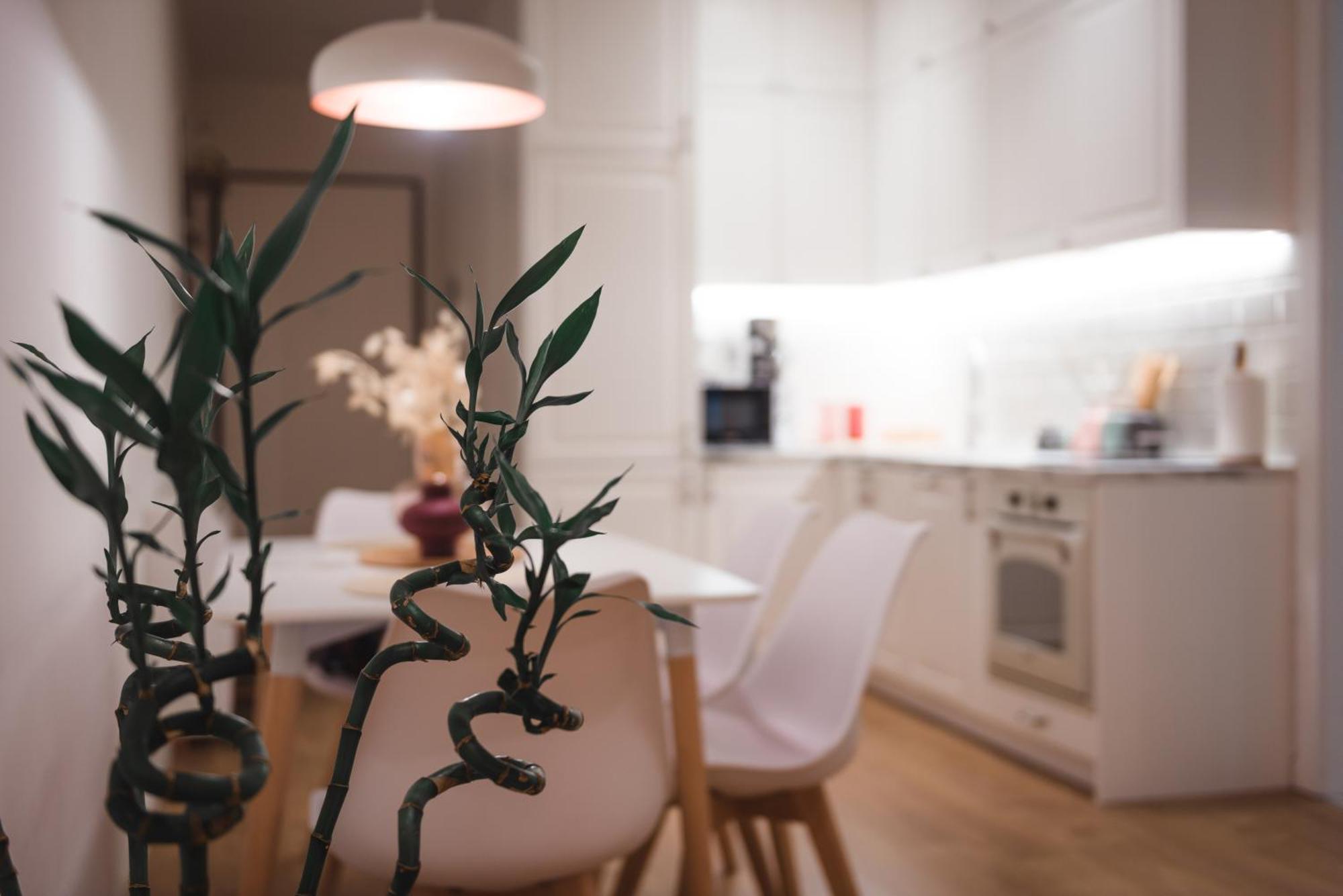 Tam Centre Luxury Serviced Apartments Тирана Экстерьер фото